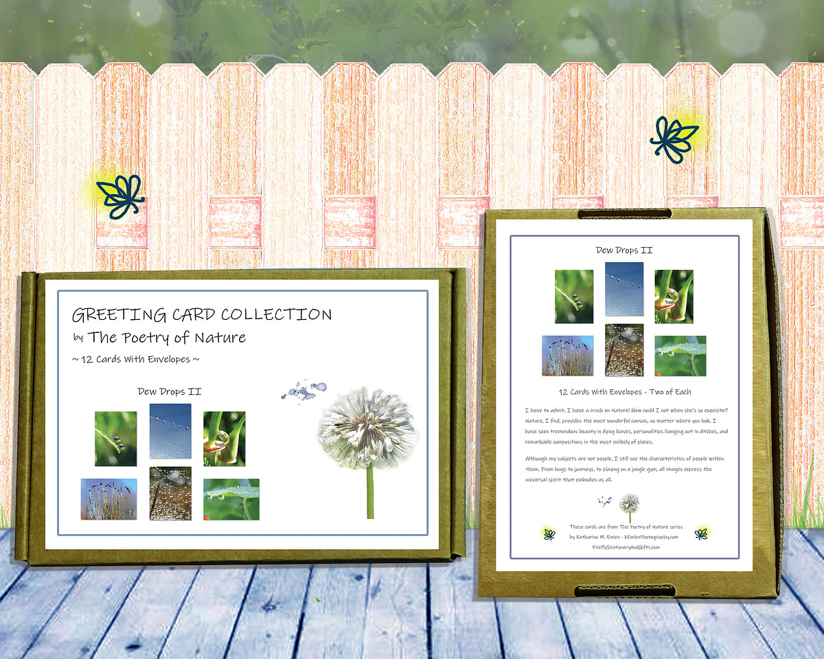 Dew Drops II Greeting Card Collection