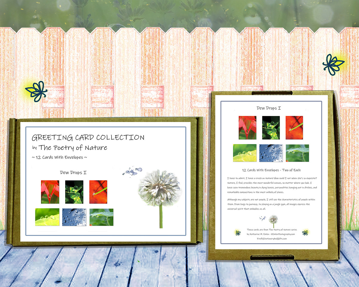 Dew Drops I Greeting Card Collection